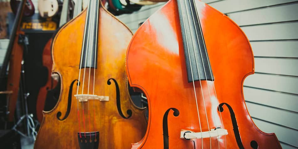 learn double bass online and offline